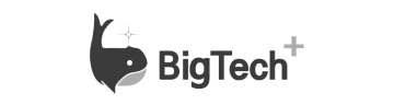 bigtech